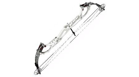 купите Лук блочный Hoyt Pro Comp Elite XL в Москве